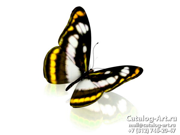  Butterflies 115